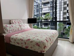 La Fiesta (D19), Condominium #461871881
